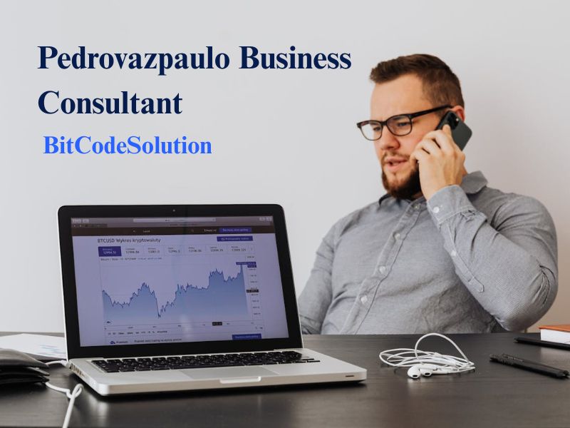 Pedrovazpaulo Business Consultant