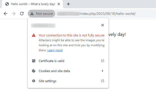 Common WordPress SSL Errors and Mixed Content