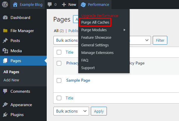 WordPress Changes Not Showing